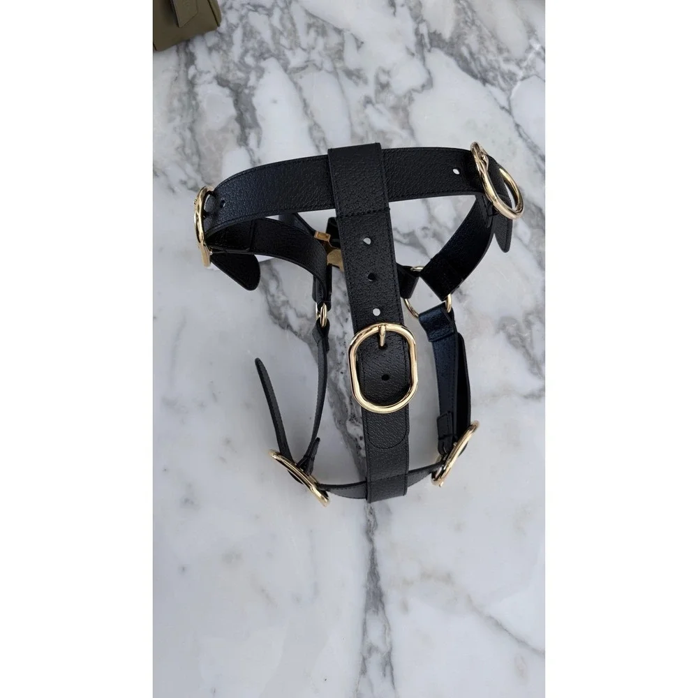 Gucci pet harness